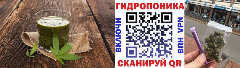 где можно купить наркотик  Вязники  Canna-Cookies конопля 