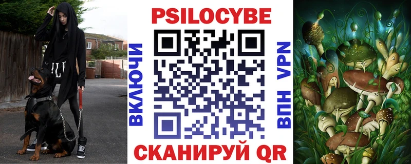 hydra ONION  где продают наркотики  Вязники  Галлюциногенные грибы Psilocybe 
