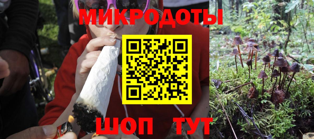 Вязники  Псилоцибиновые грибы Magic Shrooms  Вход с VPN  Галлюциногенные грибы GOLDEN TEACHER 