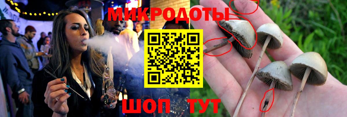 Псилоцибиновые грибы прущие грибы Вязники